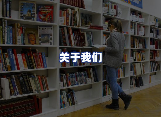 专业团队